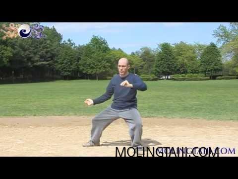Chen Style Taijiquan Gongfu Frame Late Spring