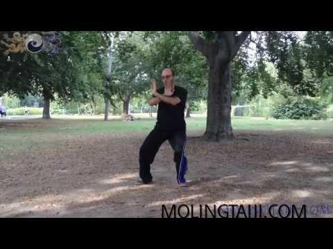 Chen Taijiquan 7 Sequence Extremities