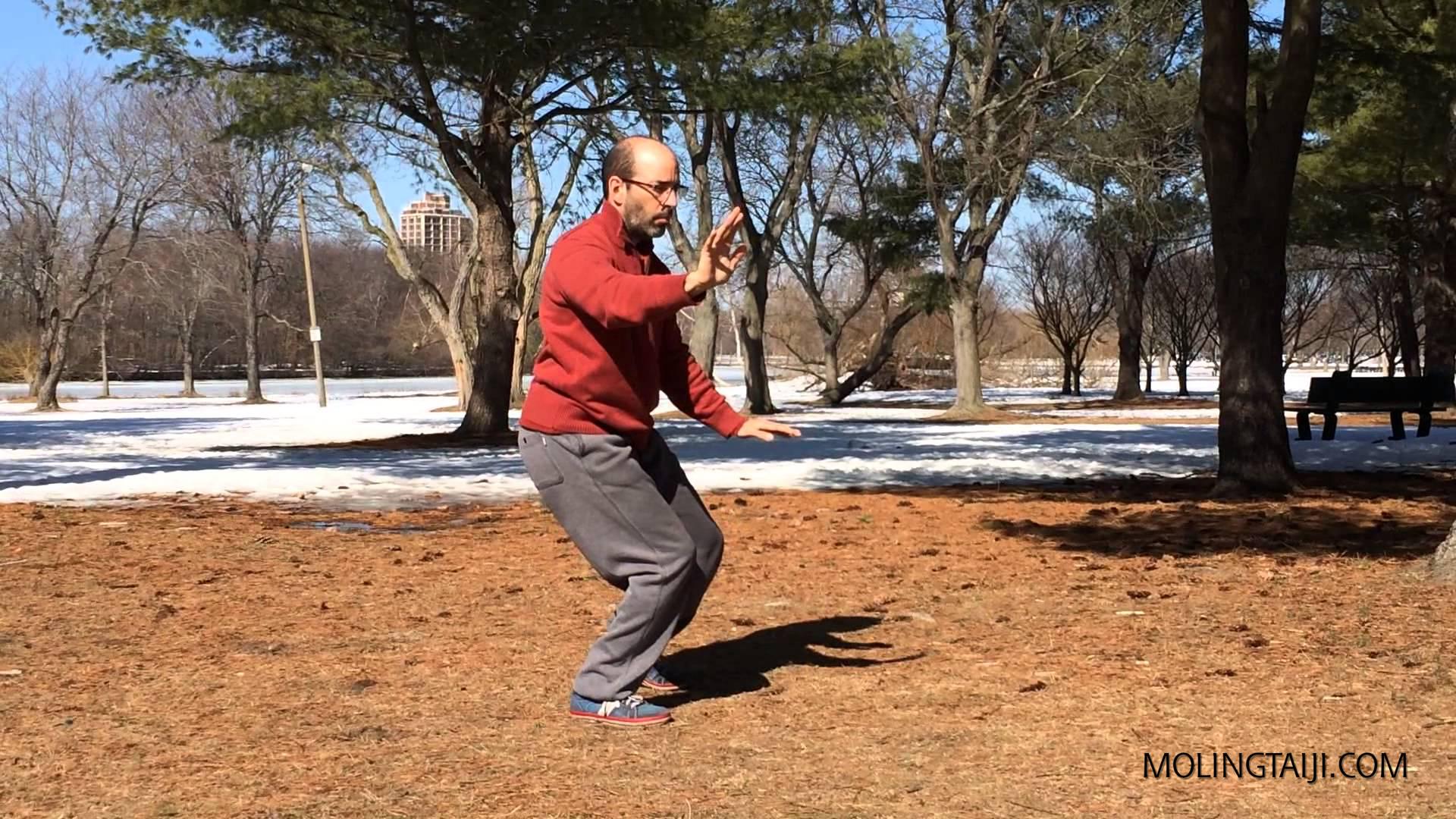 Two slightly different feelings of Chen Taijiquan Yilu as the seasons changed