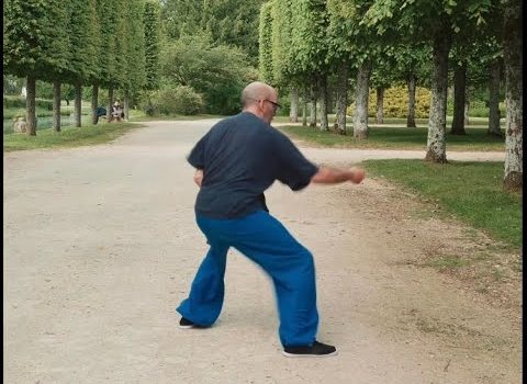 陈氏太极拳 Marin Spivack Chen Shi Taijiquan Gongfu Jia Er Lu section Rambouillet France 2024